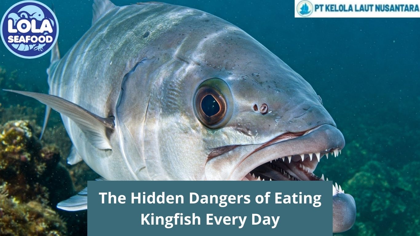 The Hidden Dangers of Eating Kingfish Every Day